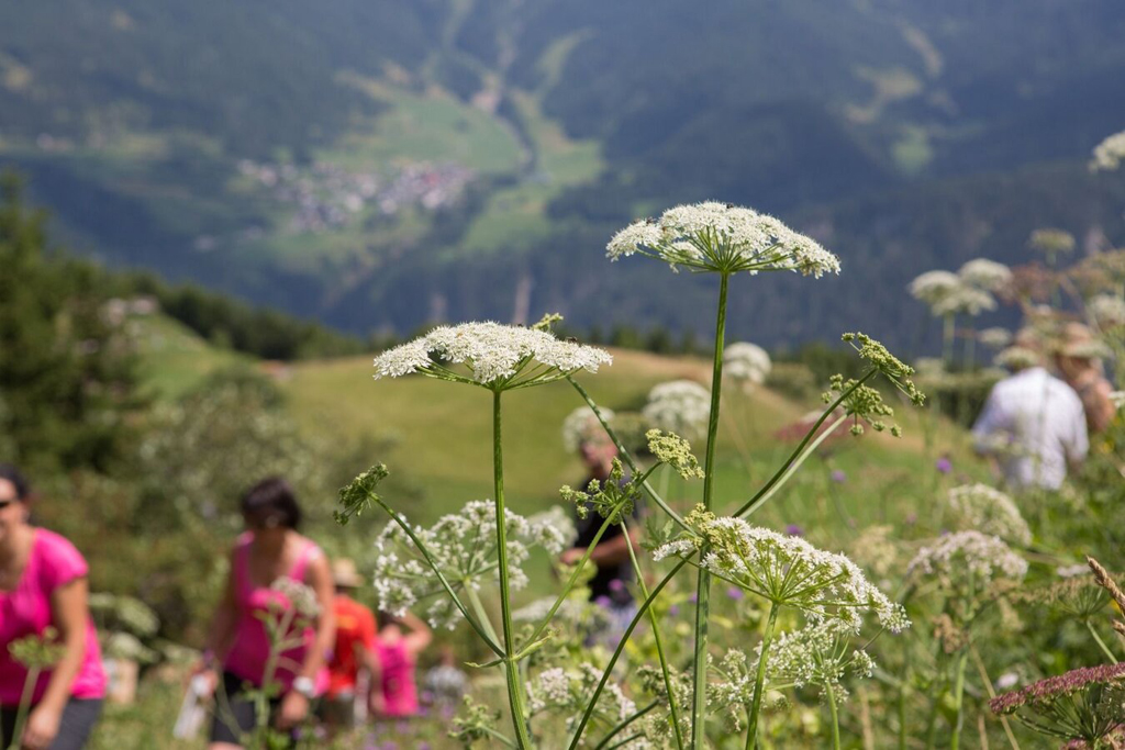 Wildkruterlehrpfad 3 Wildkruterlehrpfad 3